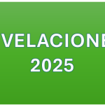 NIVELACIONES 2025